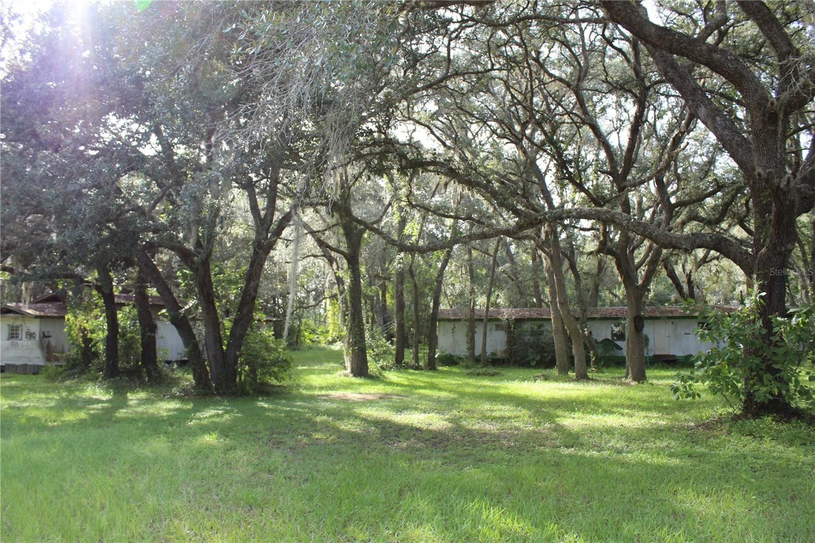 Pierson, Volusia County, FL Undeveloped Land, Lakefront Property