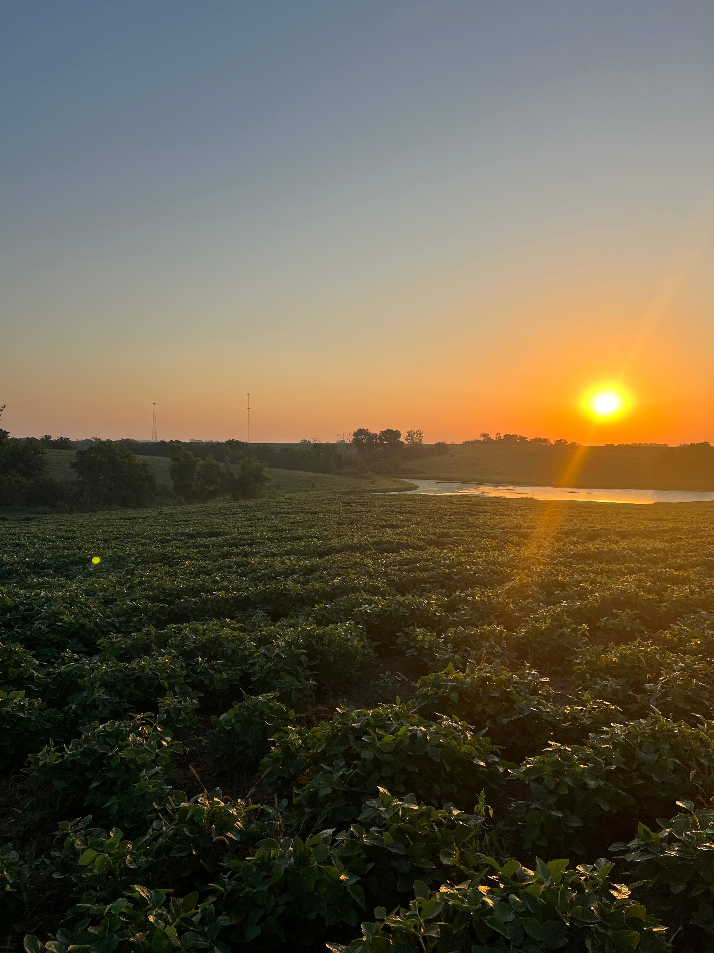 U.S. 69, Lamoni, IA 50140 MLS 678244 LandWatch