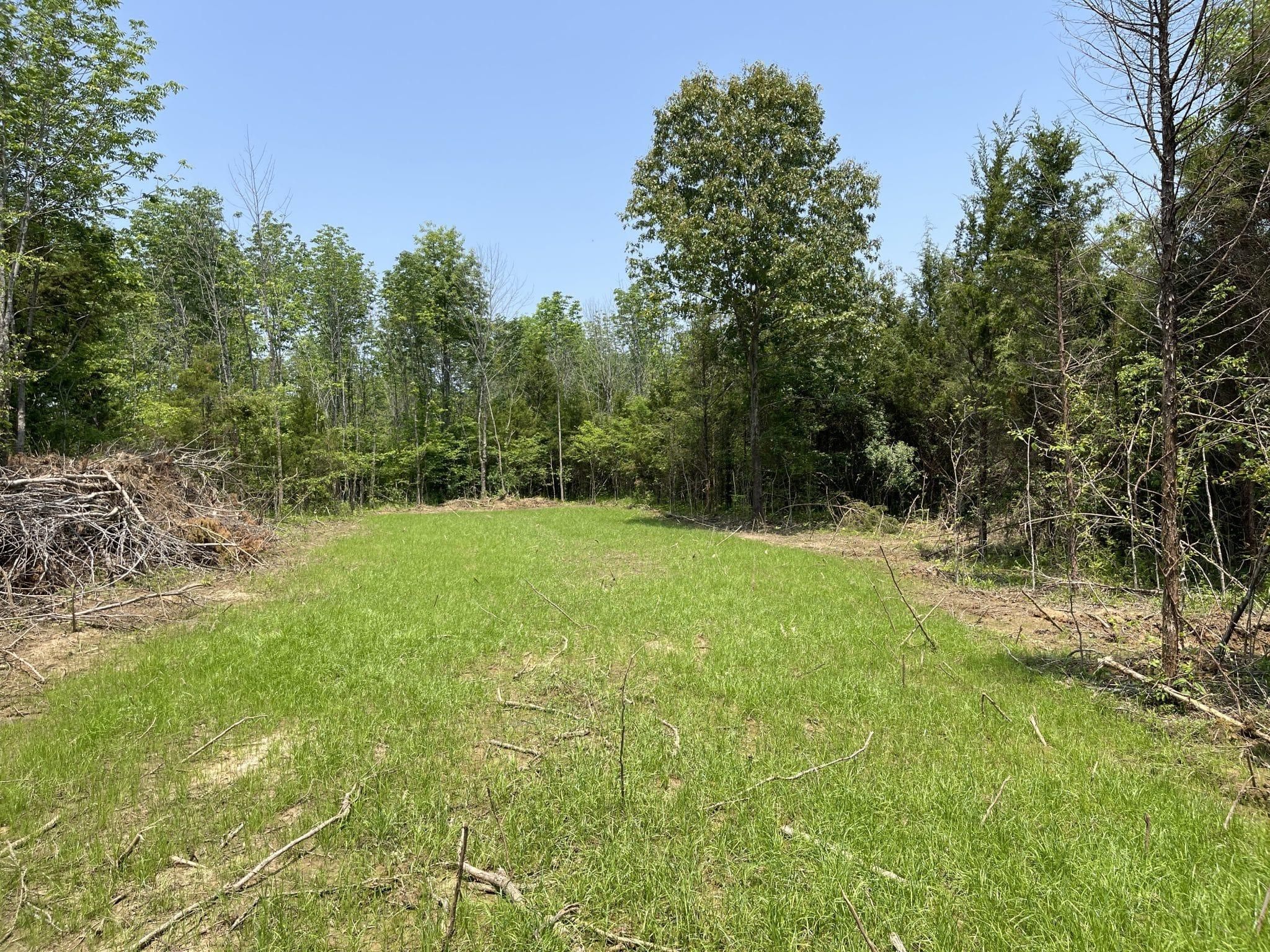 Stone Fort, Pope County, IL Timberland Property, Undeveloped Land