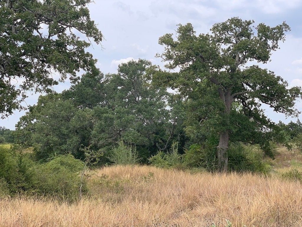 Hallettsville, Lavaca County, TX Farms and Ranches for sale Property ID