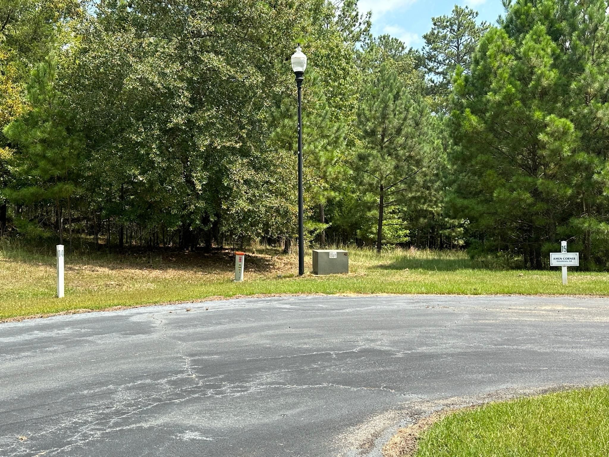 Tignall, Lincoln County, GA Recreational Property, Lakefront Property
