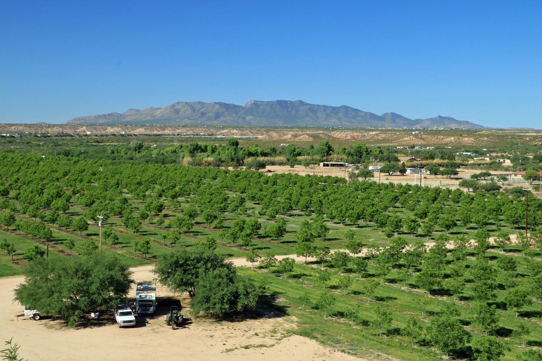 1427 North Ocotillo Road, Benson, AZ 85602 LandWatch