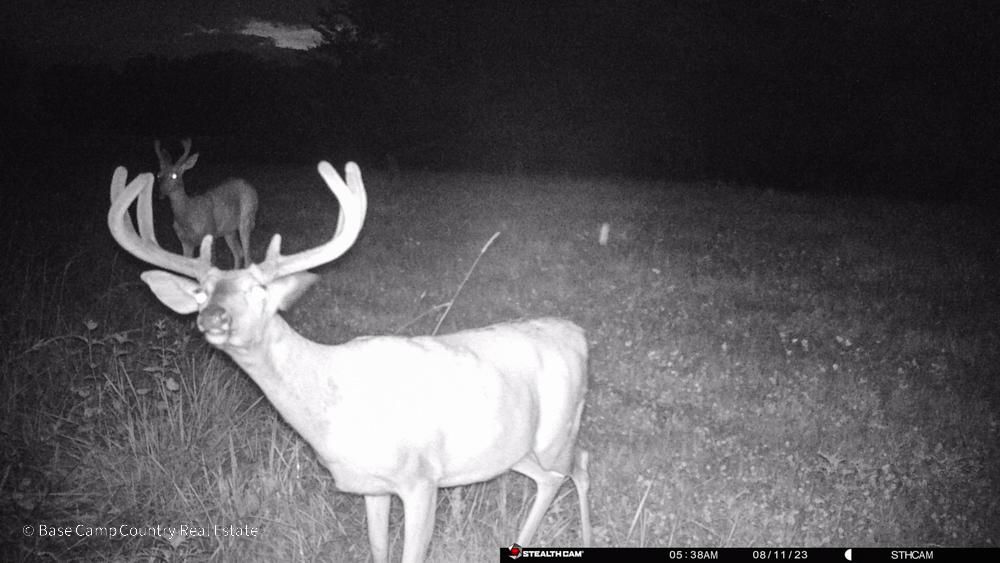 105 acres in Higbee, MO, 65257 LandWatch