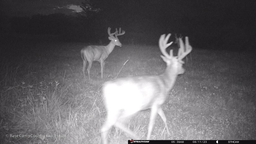 105 acres in Higbee, MO, 65257 LandWatch