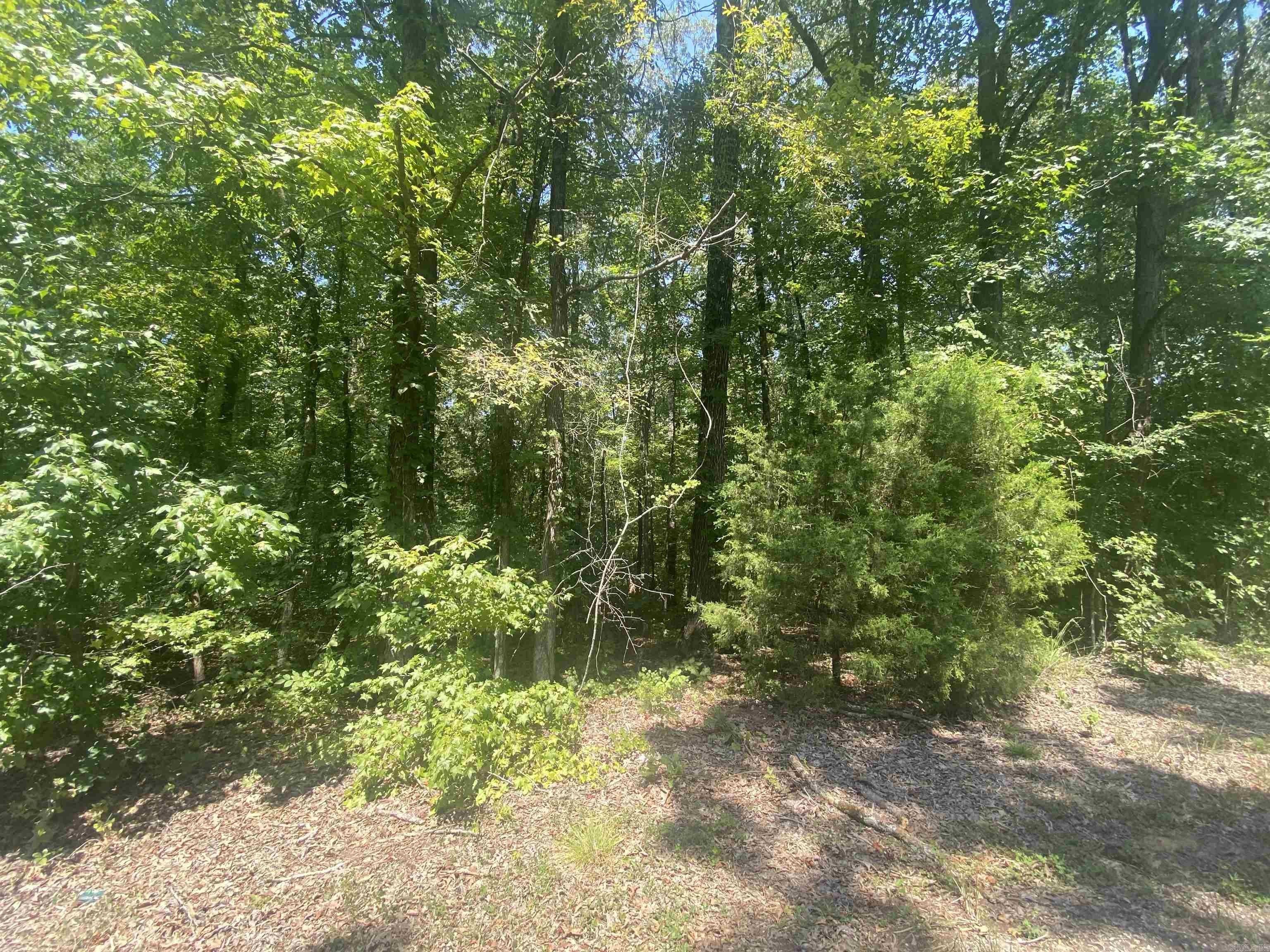 Benton, Saline County, AR Undeveloped Land, Homesites for sale Property