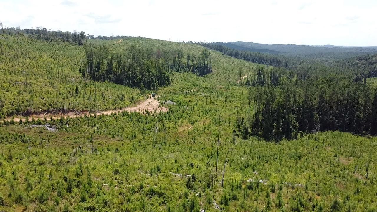 Elrod, Tuscaloosa County, AL Recreational Property, Timberland Property