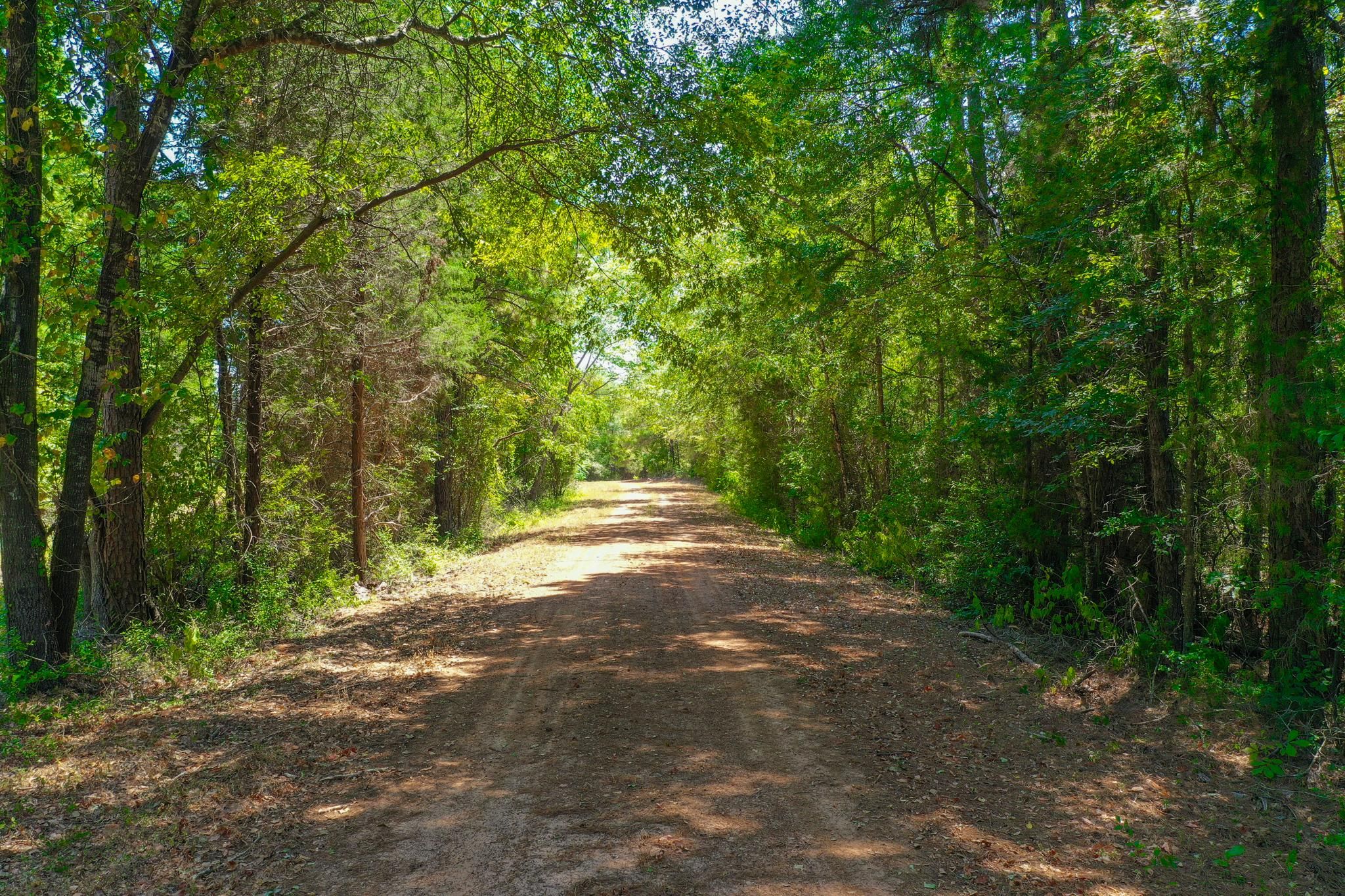 88 acres in Elkhart, TX, 75839 LandWatch
