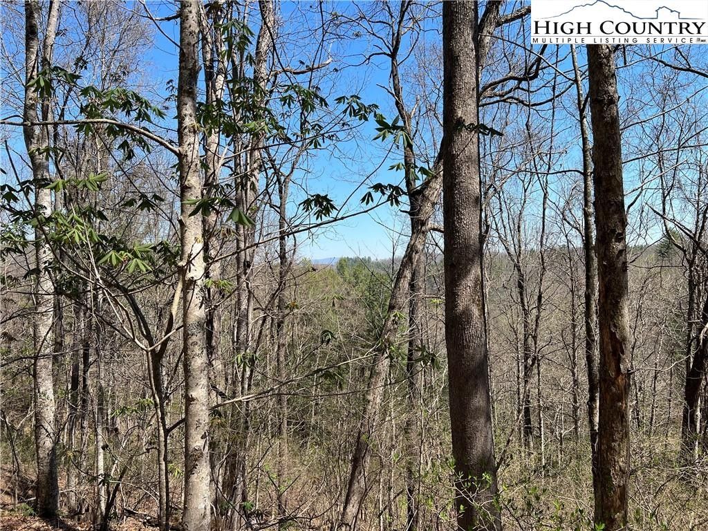 Crumpler, Ashe County, NC Undeveloped Land, Homesites for sale Property