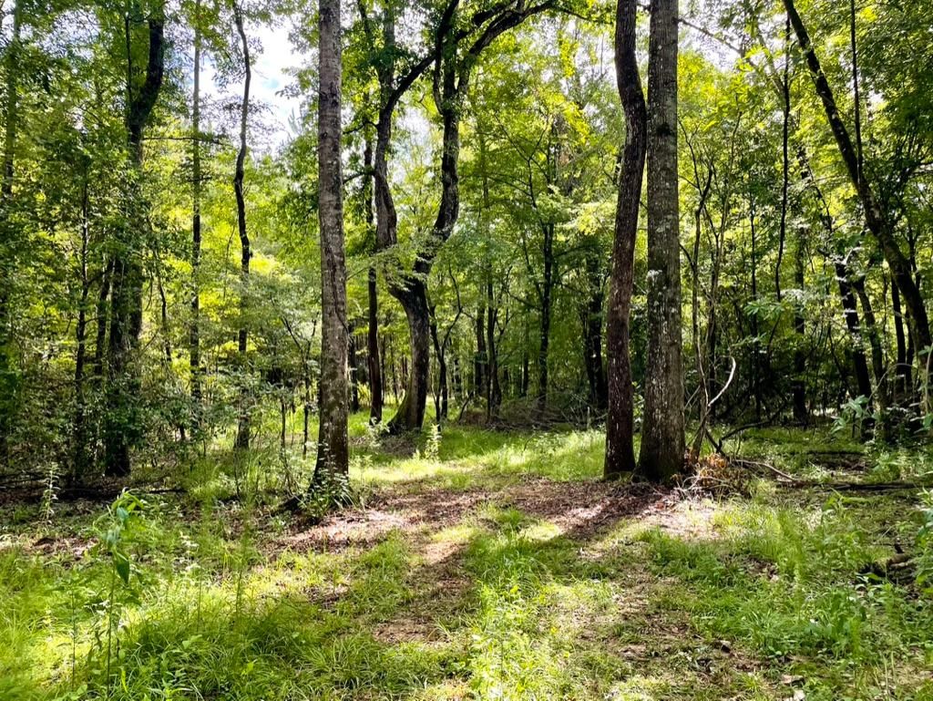 Ruth, Lincoln County, MS Recreational Property, Hunting Property for