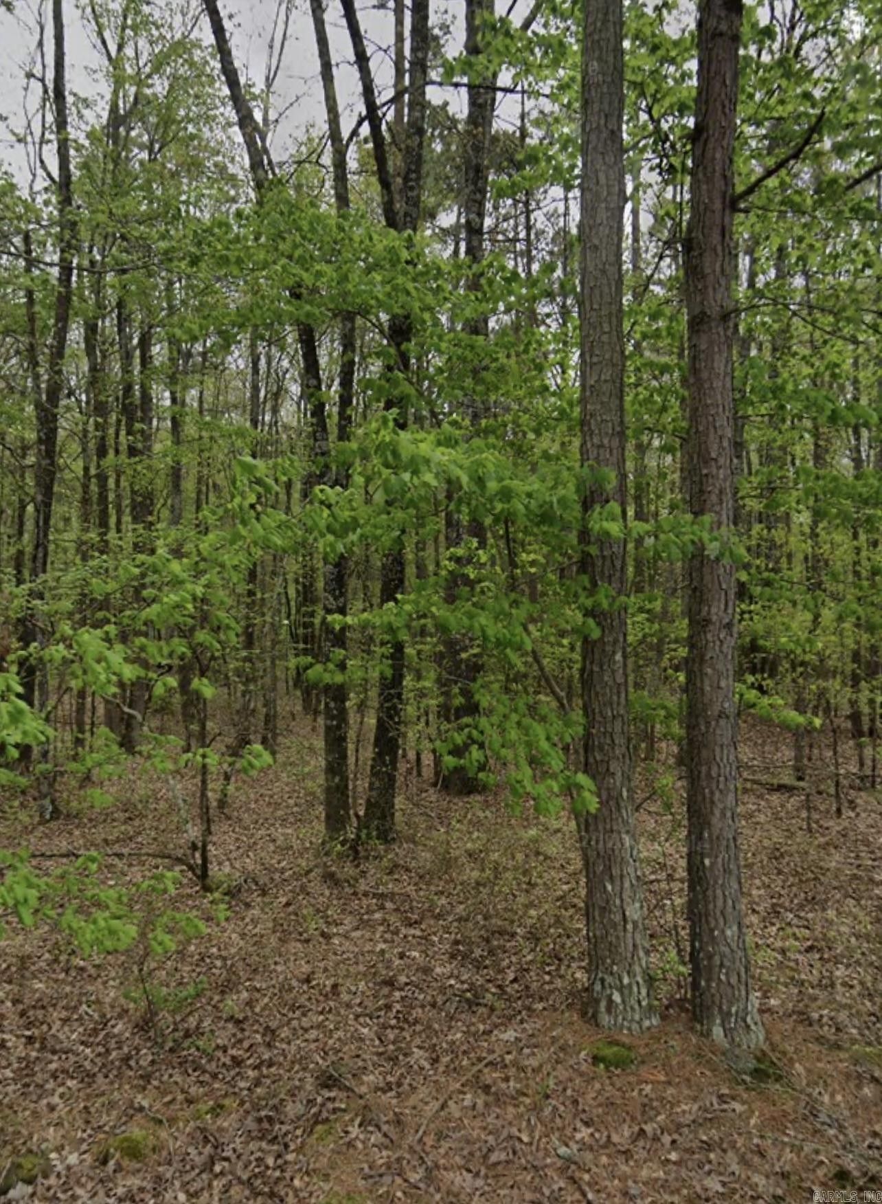 Little Rock, Pulaski County, AR Undeveloped Land for sale Property ID