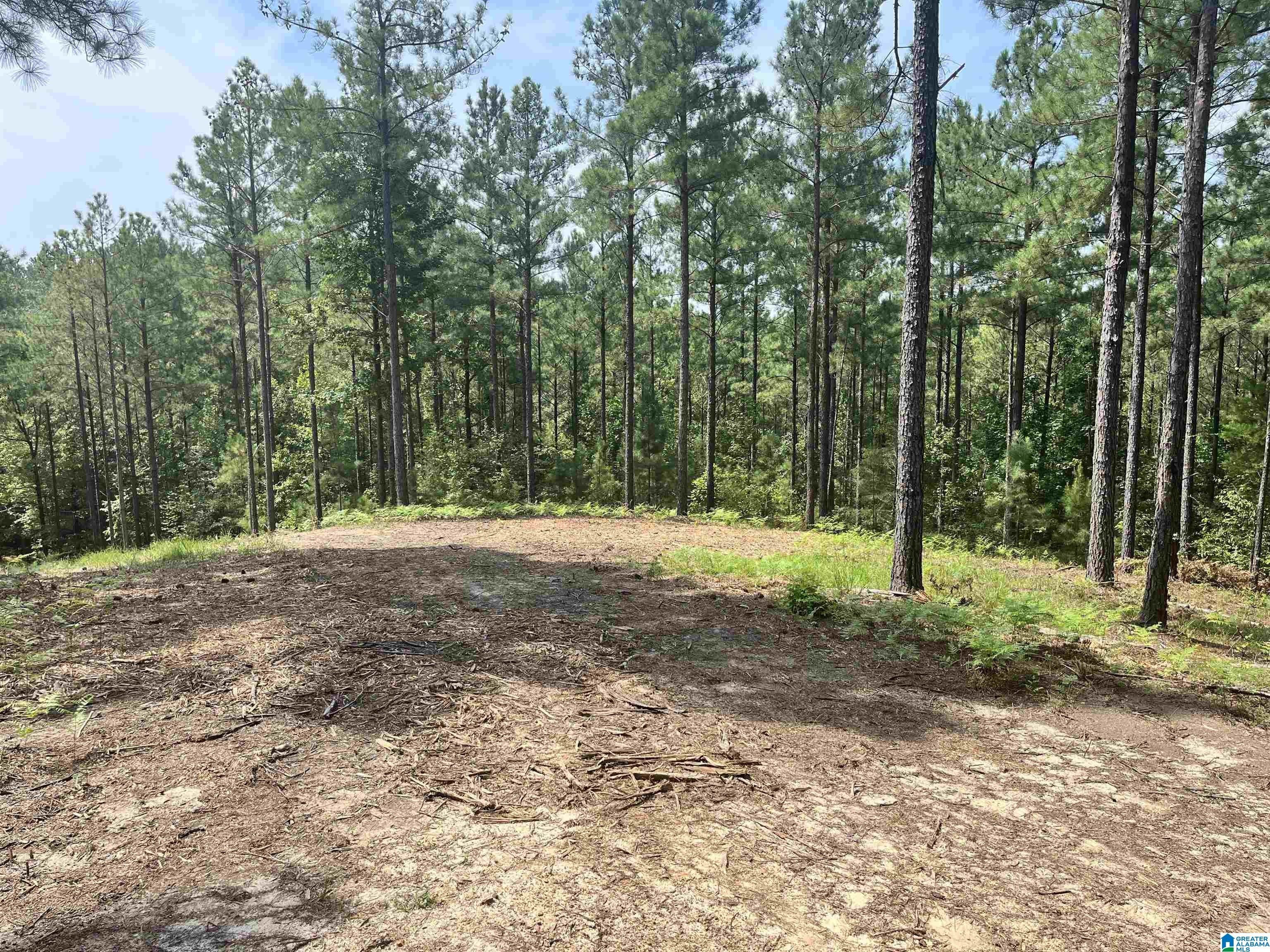 Pell City, Saint Clair County, AL Undeveloped Land, Homesites for sale Property ID 417459180