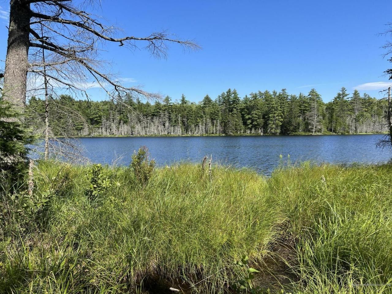 Great Pond, Hancock County, ME for sale Property ID 417204248 LandWatch