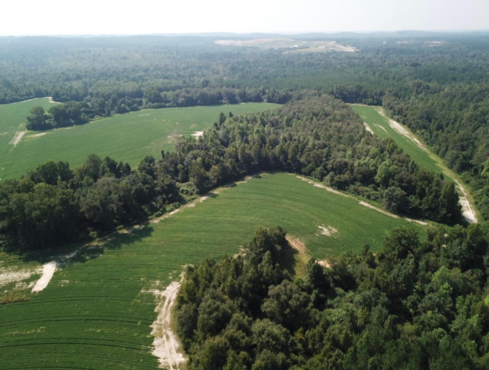 Jack Alabama, Jack, AL 36346 LandWatch