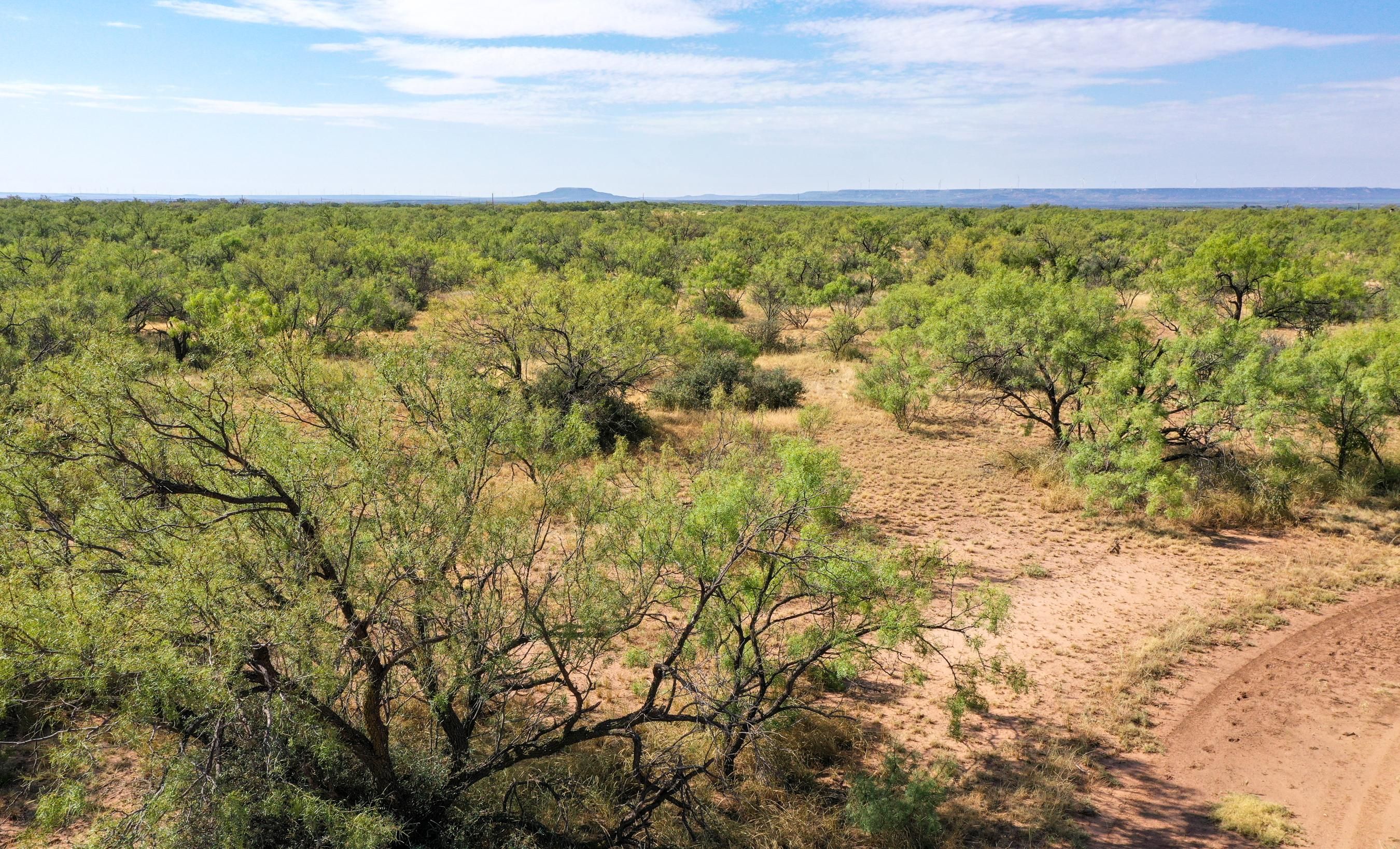 Post, Garza County, TX Farms and Ranches, Recreational Property