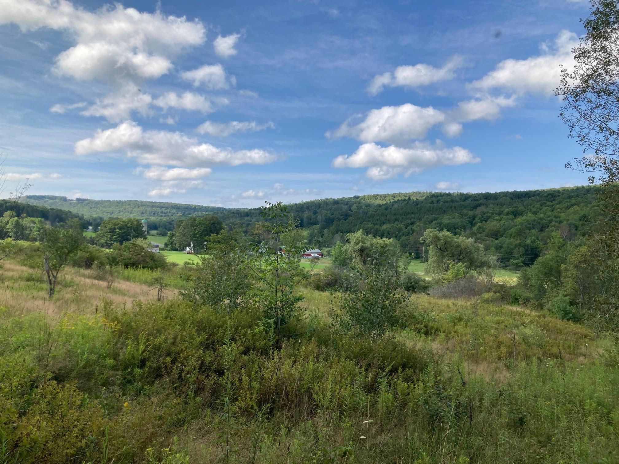 Masonville, Delaware County, NY Recreational Property, Hunting Property