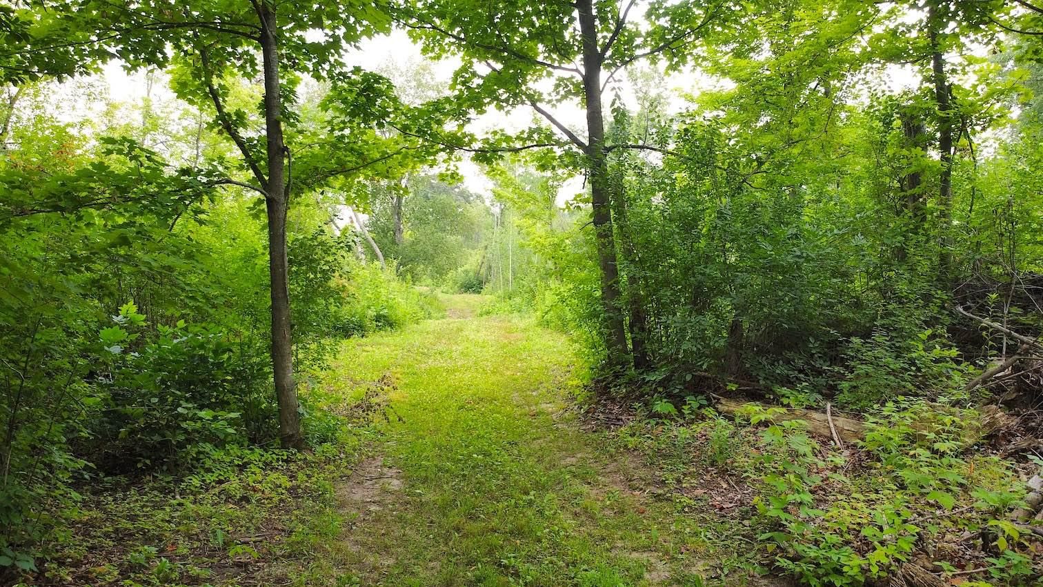 Milltown, Polk County, WI Recreational Property, Hunting Property for