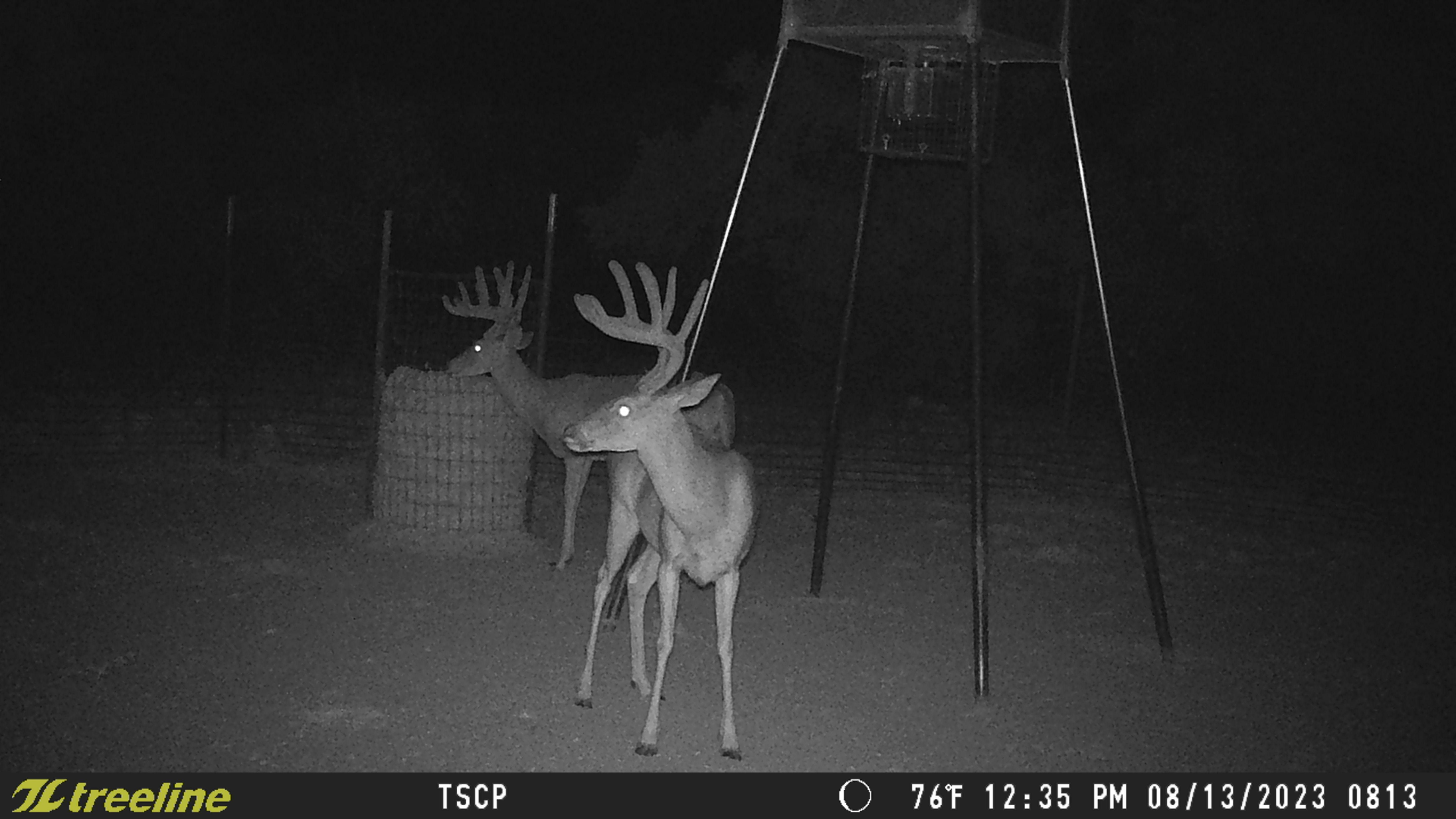 Eldorado, Menard County, TX Farms and Ranches, Recreational Property, Hunting Property, House