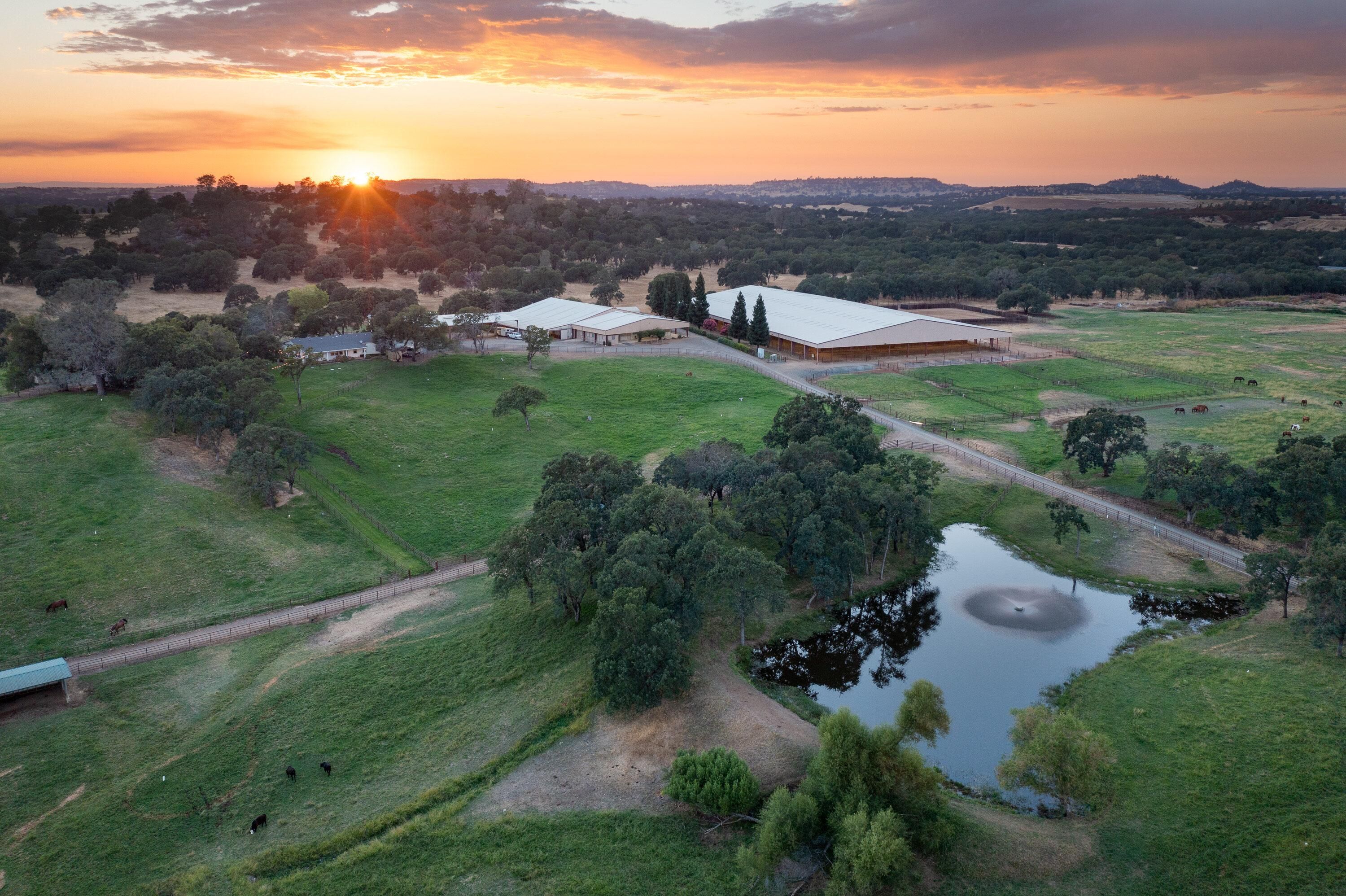 Ione, Amador County, CA Farms and Ranches, Horse Property, House for