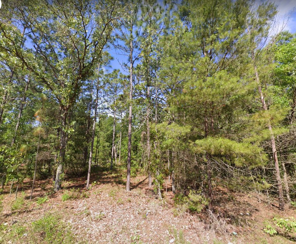 Keystone Heights, Clay County, FL Recreational Property, Undeveloped