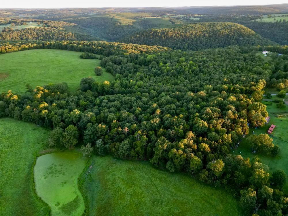 Prim, Cleburne County, AR Farms and Ranches, Recreational Property