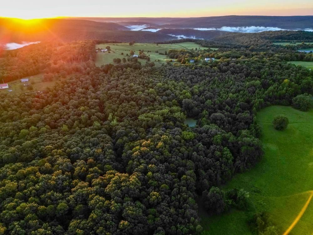 Prim, Cleburne County, AR Recreational Property, Timberland Property