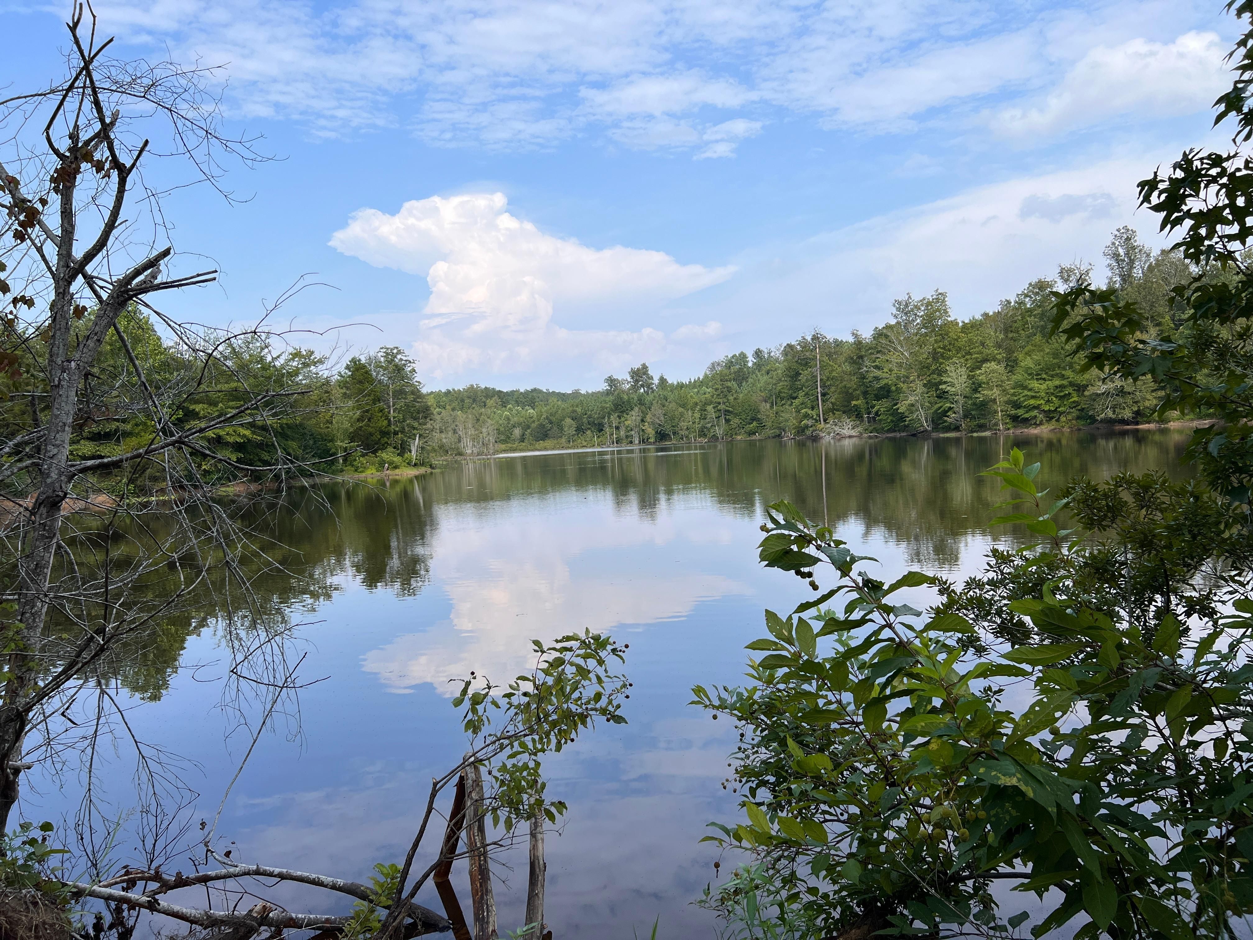 300 acres in Centreville, AL, 35042 LandWatch