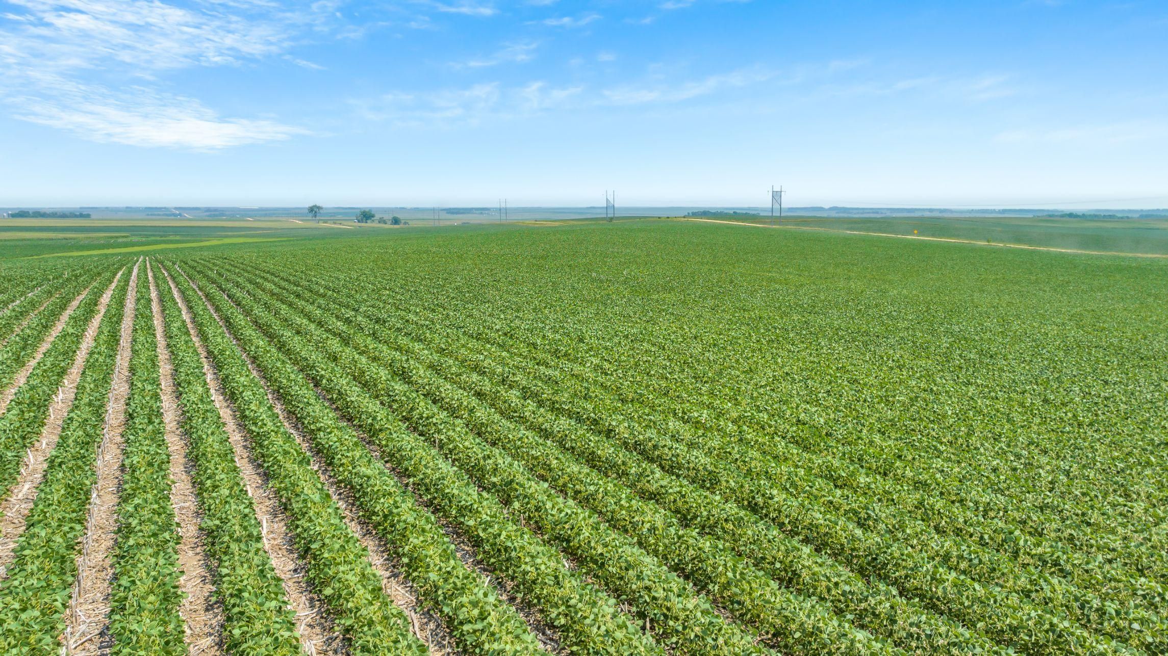 Ward, Moody County, SD Farms and Ranches for auction Property ID