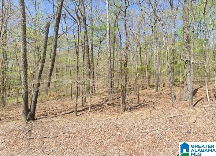 Pinson, Jefferson County, AL Undeveloped Land for sale Property ID