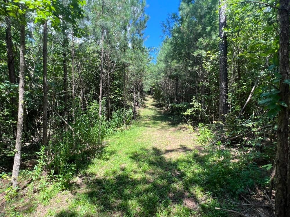 Columbiana, Shelby County, AL Timberland Property, Undeveloped Land for