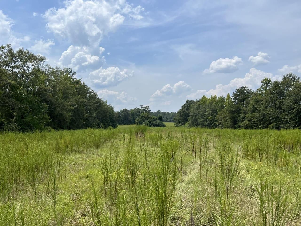 Perdido, Baldwin County, AL House for sale Property ID 417469035