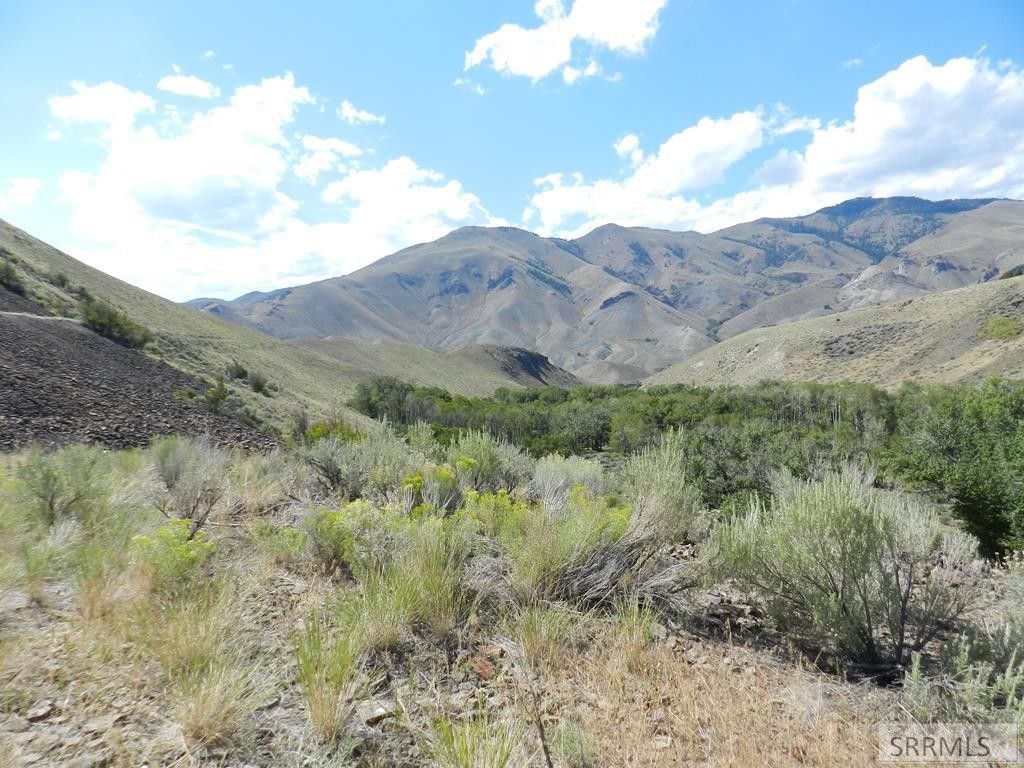 Salmon, Lemhi County, ID Undeveloped Land, Homesites for sale Property