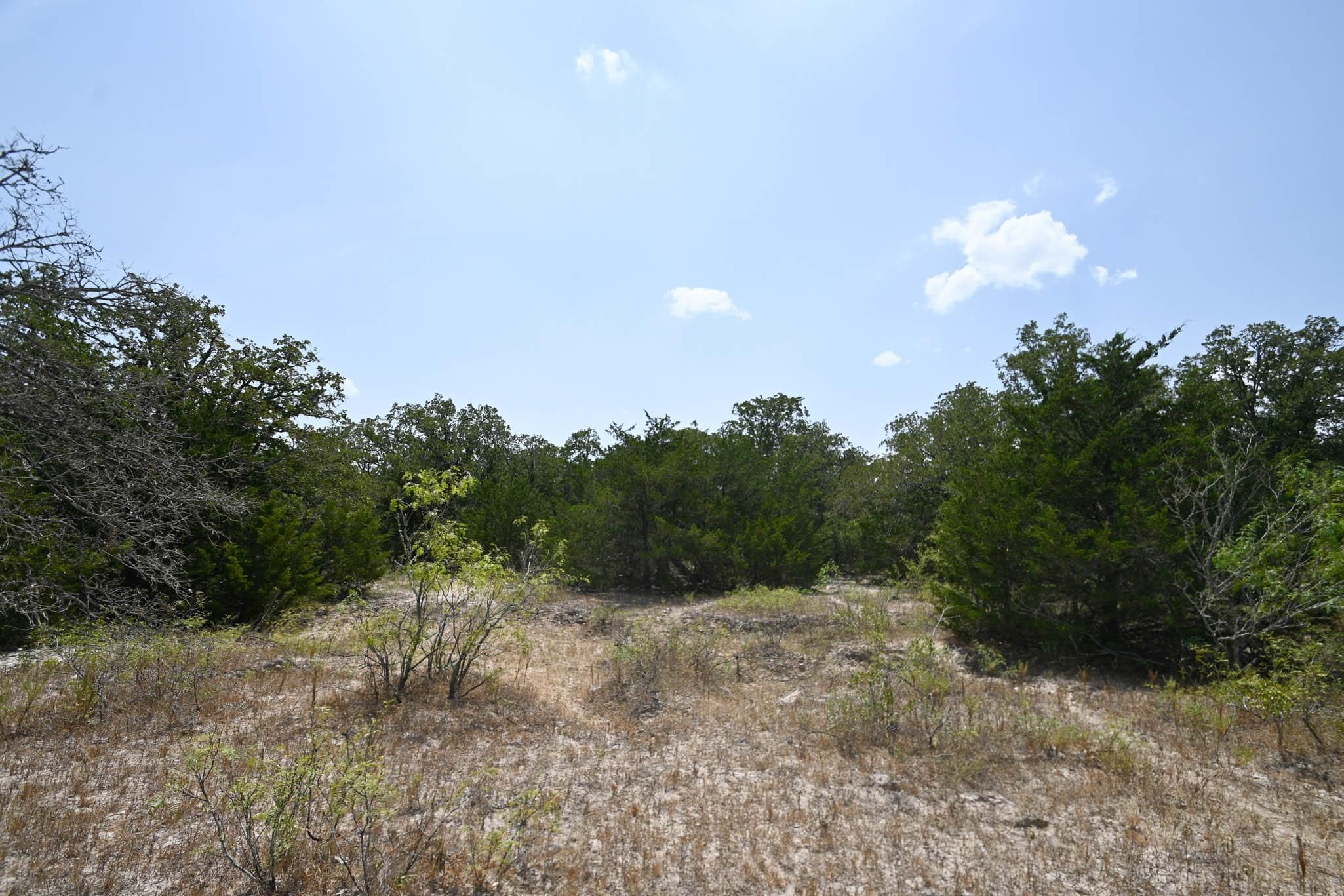 Muldoon, Fayette County, TX Farms and Ranches for sale Property ID