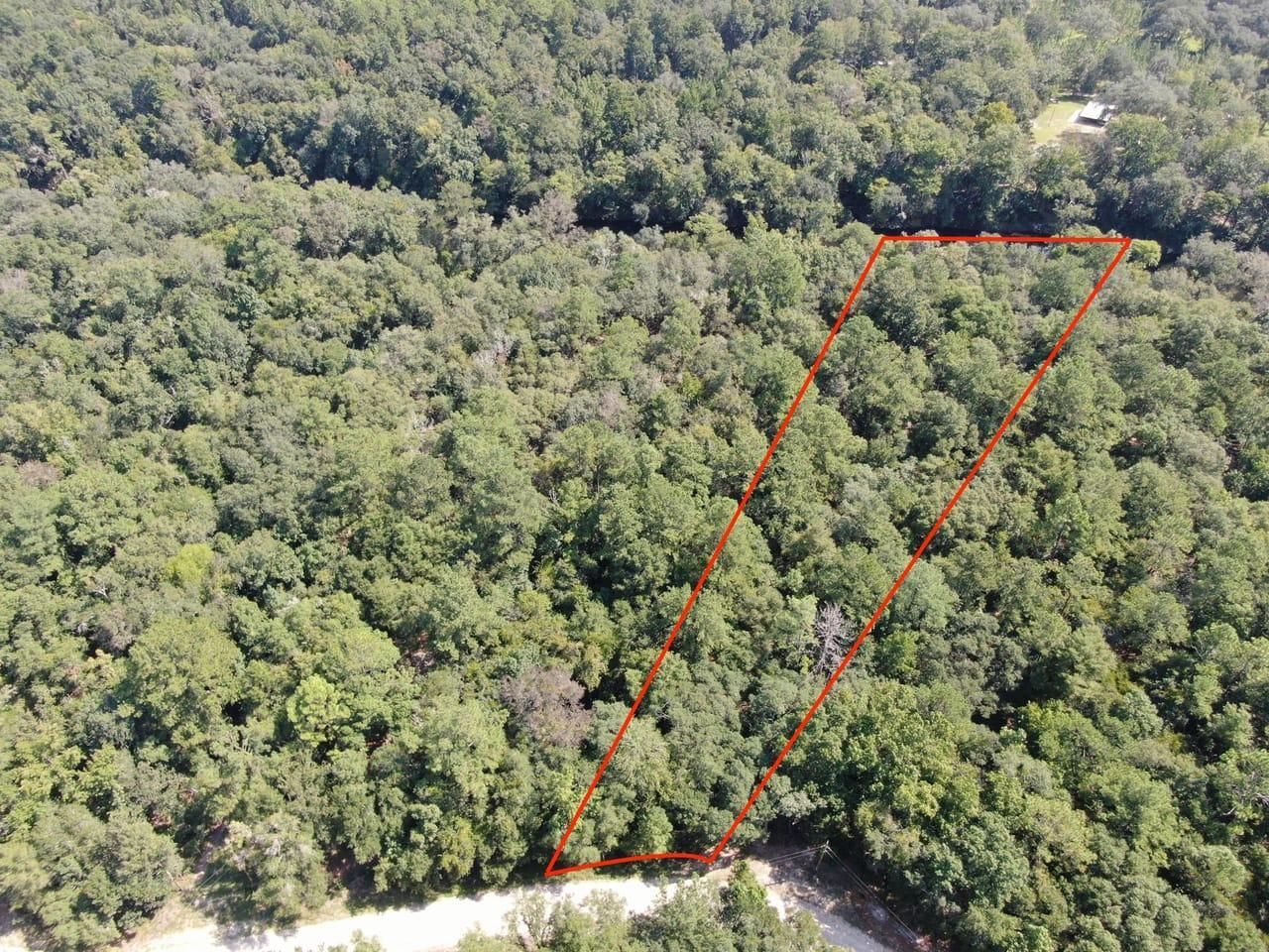 Lee, Madison County, FL Recreational Property, Hunting Property