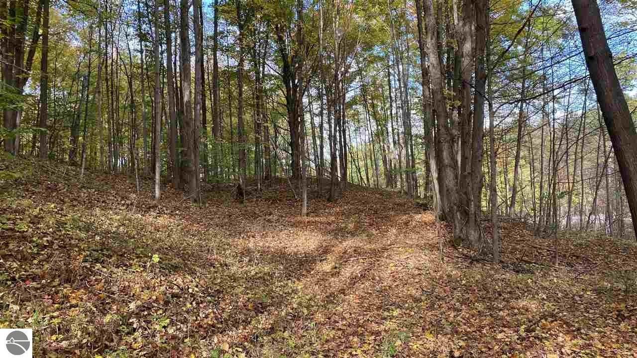 Bellaire, Antrim County, MI Undeveloped Land, Homesites for sale