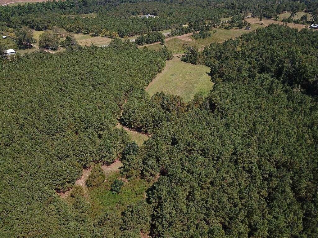 Lyons, Emanuel County, GA Undeveloped Land for sale Property ID