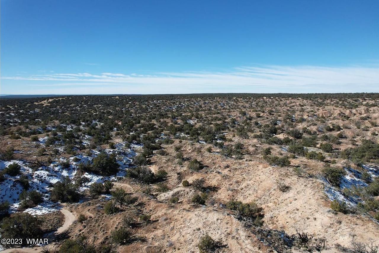 Saint Johns, Apache County, AZ Farms and Ranches, Recreational Property