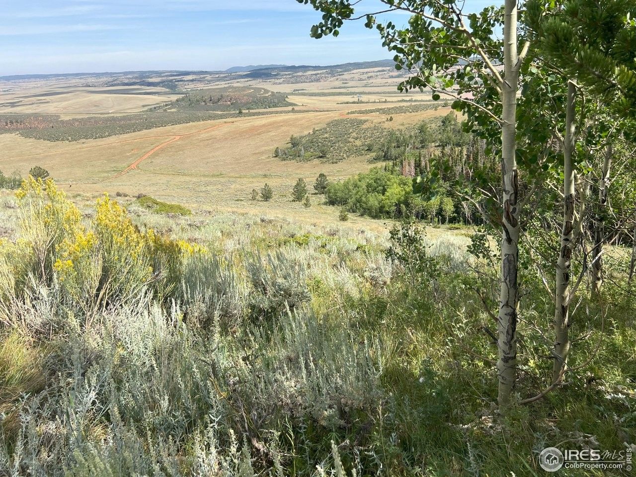 Red Feather Lakes, Larimer County, CO Undeveloped Land for sale