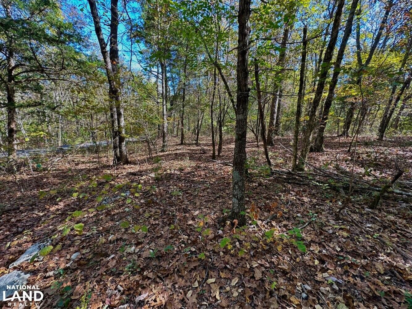 Springville, Saint Clair County, AL Recreational Property, Hunting