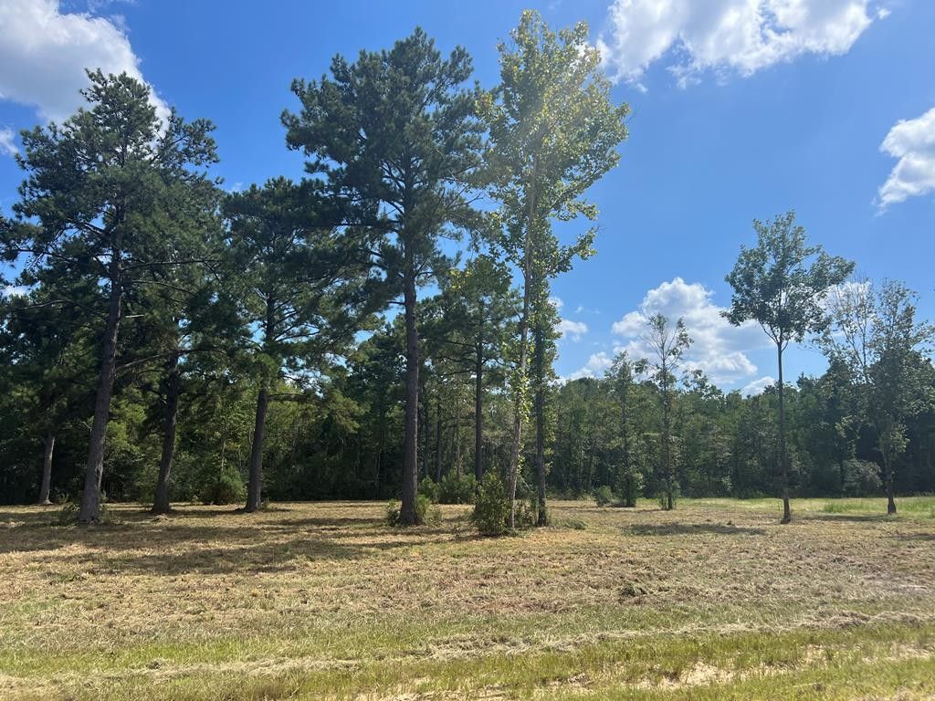 Picayune, Pearl River County, MS Undeveloped Land, Lakefront Property