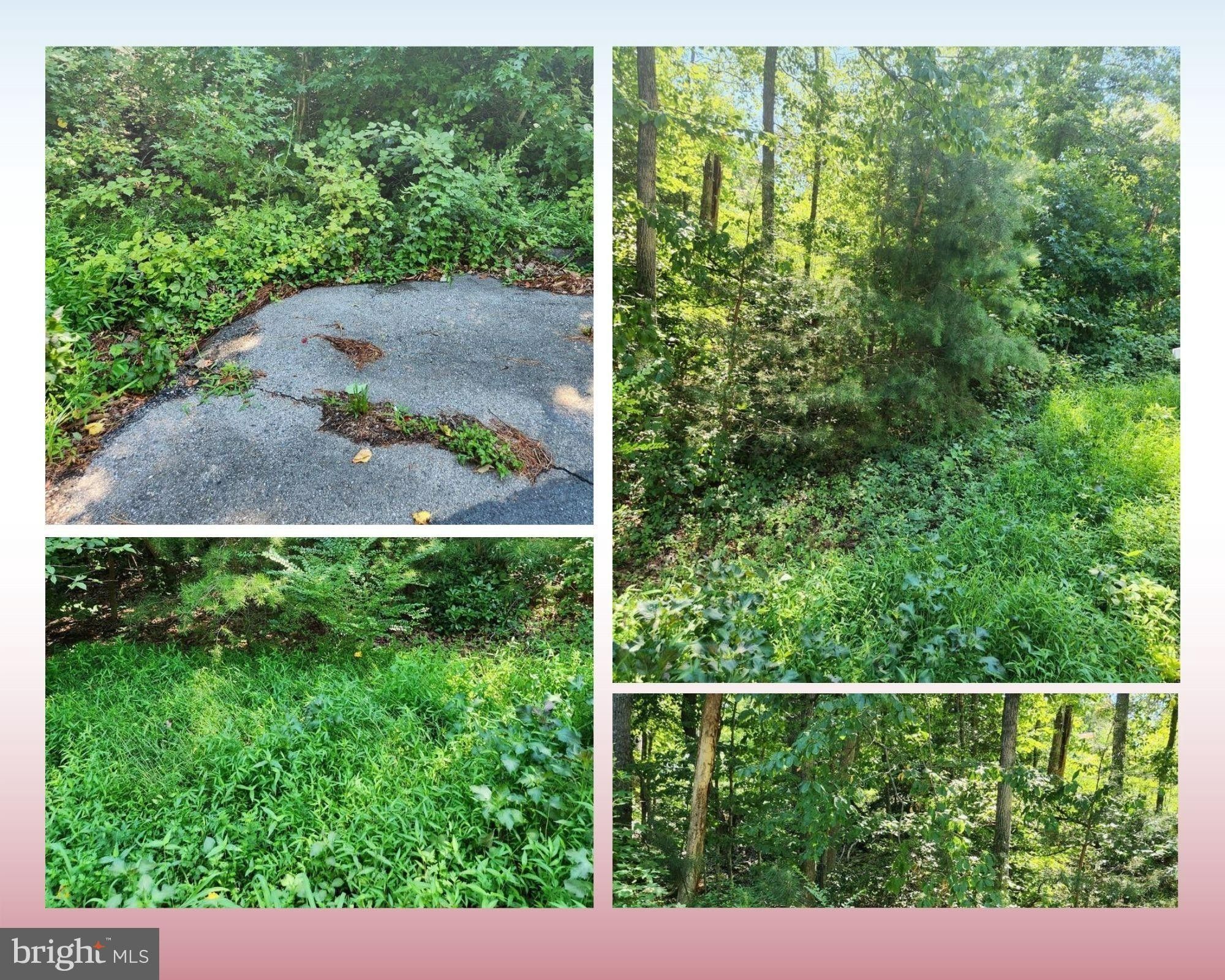 Lusby, Calvert County, MD Undeveloped Land, Homesites for sale Property