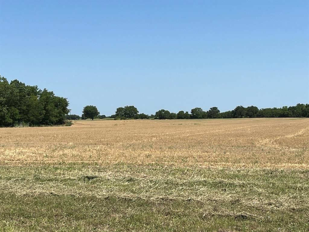 Wolfe City, Hunt County, TX Undeveloped Land for sale Property ID