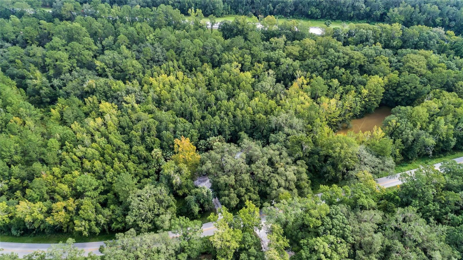 Pierson, Volusia County, FL Lakefront Property, Waterfront Property