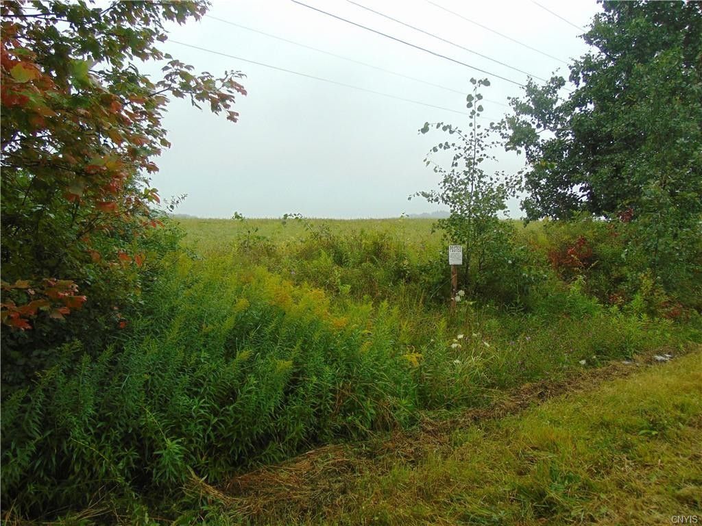 Cincinnatus, Cortland County, NY Undeveloped Land for sale Property ID