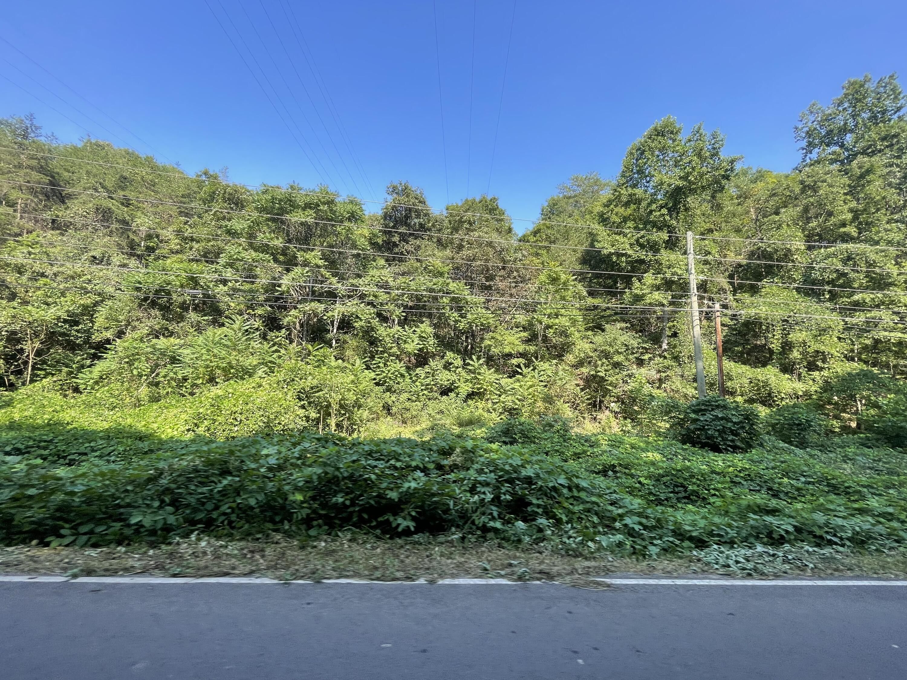 Mooresburg, Hawkins County, TN Undeveloped Land for sale Property ID