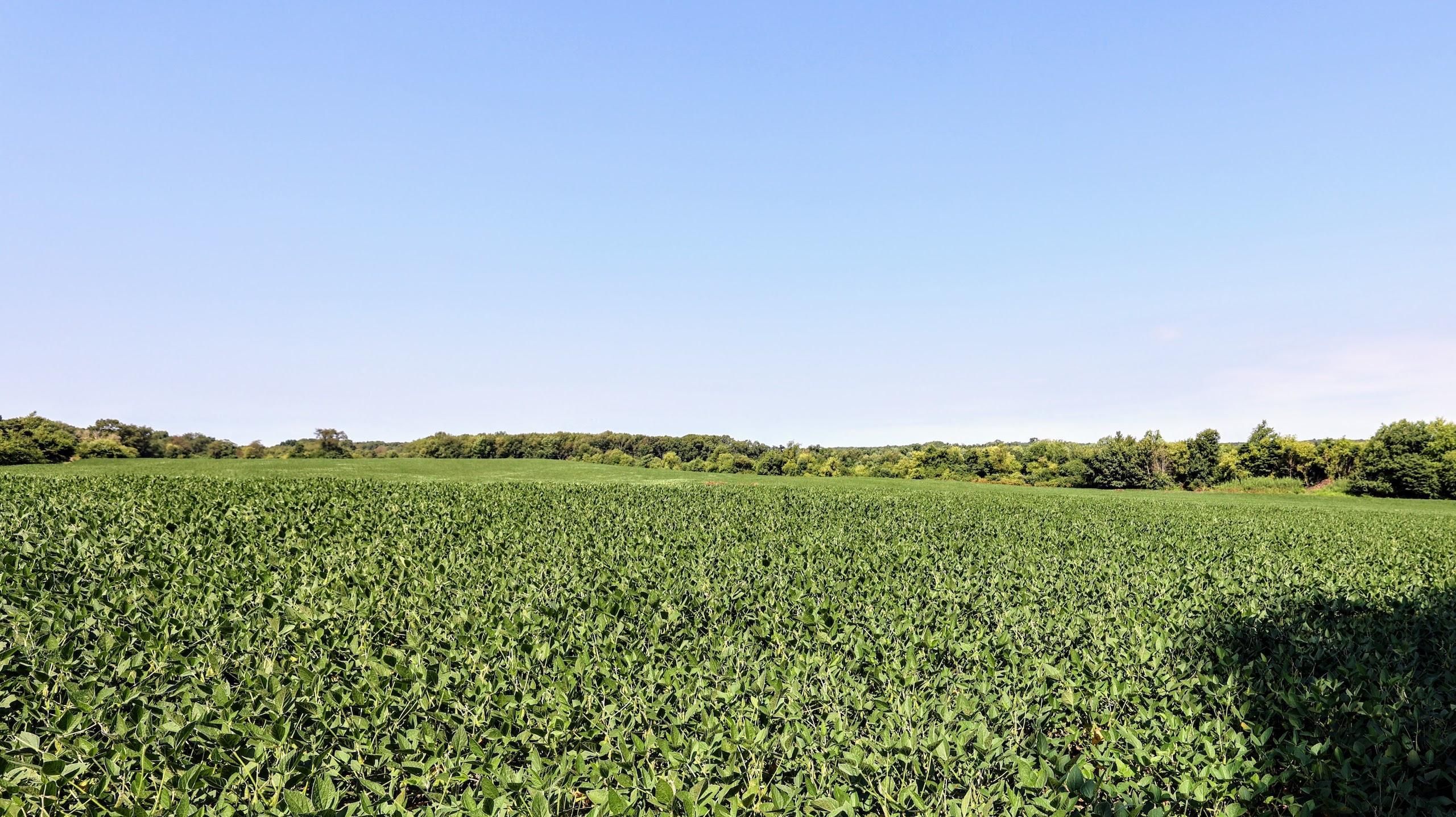 Marshall, Calhoun County, MI Farms and Ranches, Recreational Property