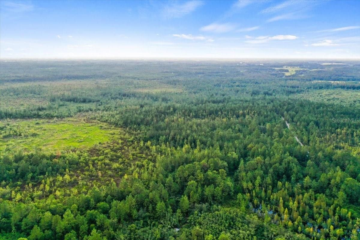 SALYERS ROAD, Clermont, FL 34711 MLS O6137272 LandWatch