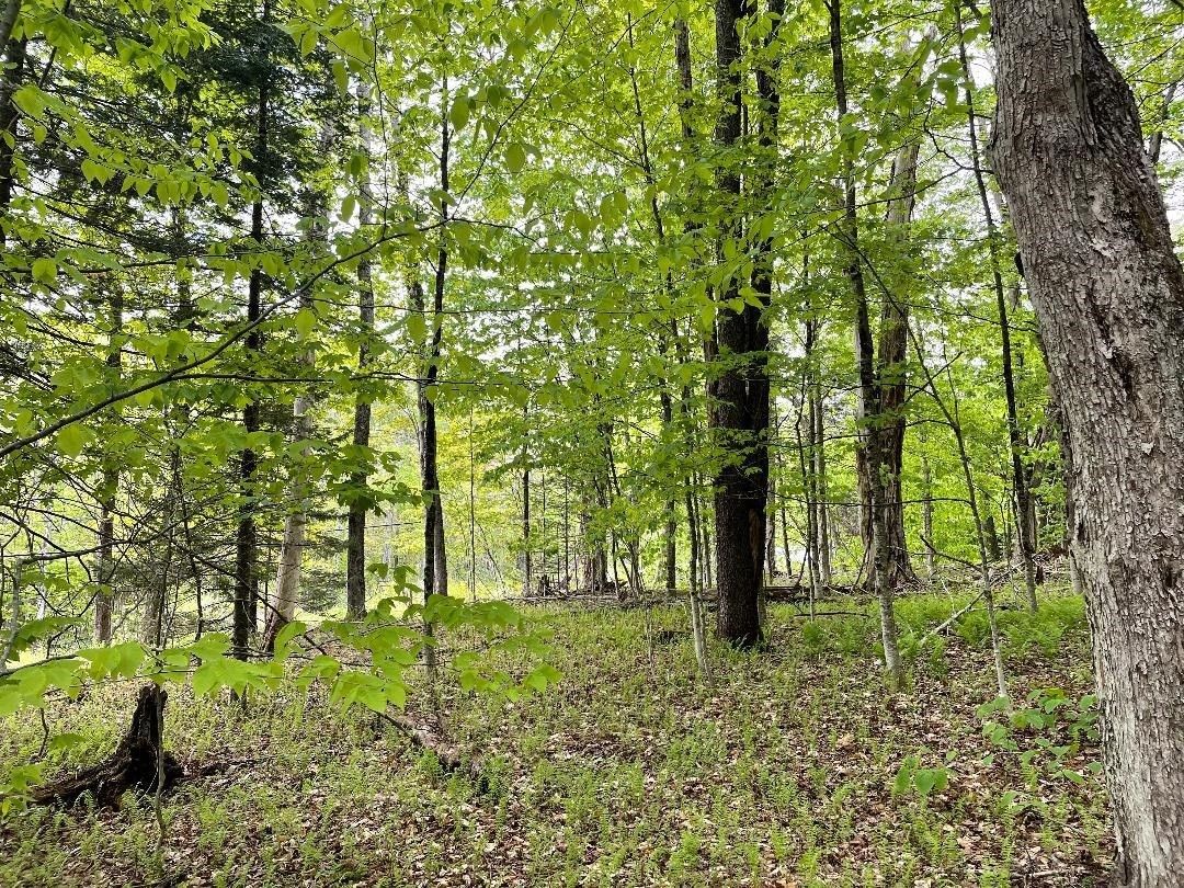 Readsboro, Bennington County, VT Undeveloped Land, Homesites for sale