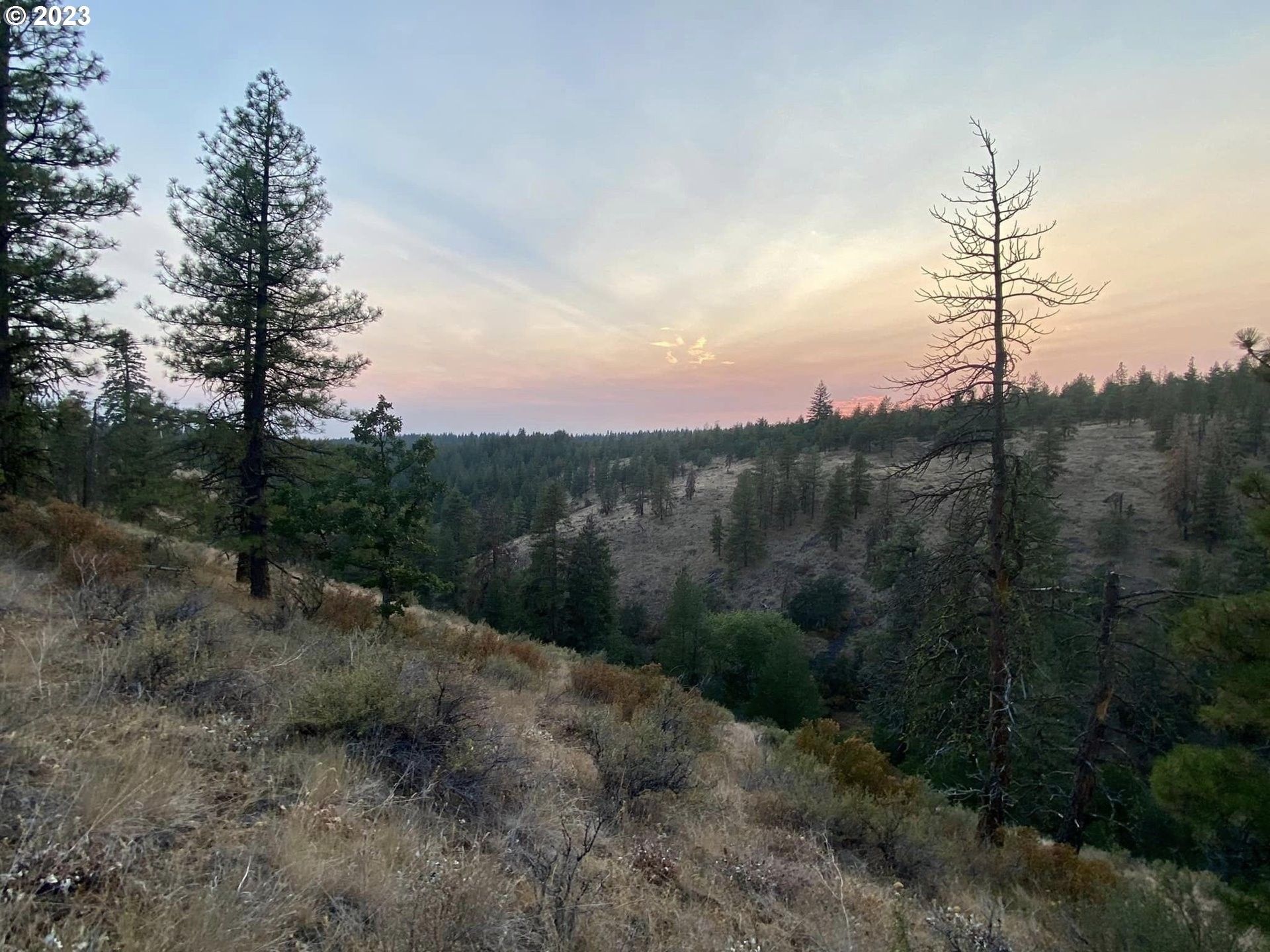 Goldendale, Klickitat County, WA Undeveloped Land for sale Property ID