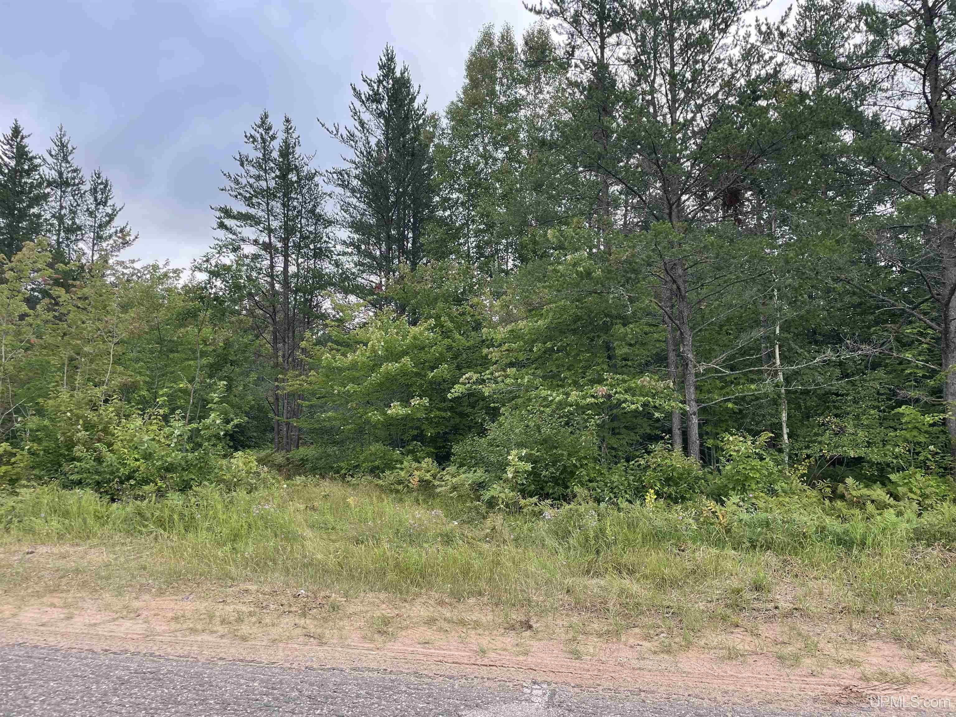 Little Lake, Marquette County, MI Undeveloped Land for sale Property ID