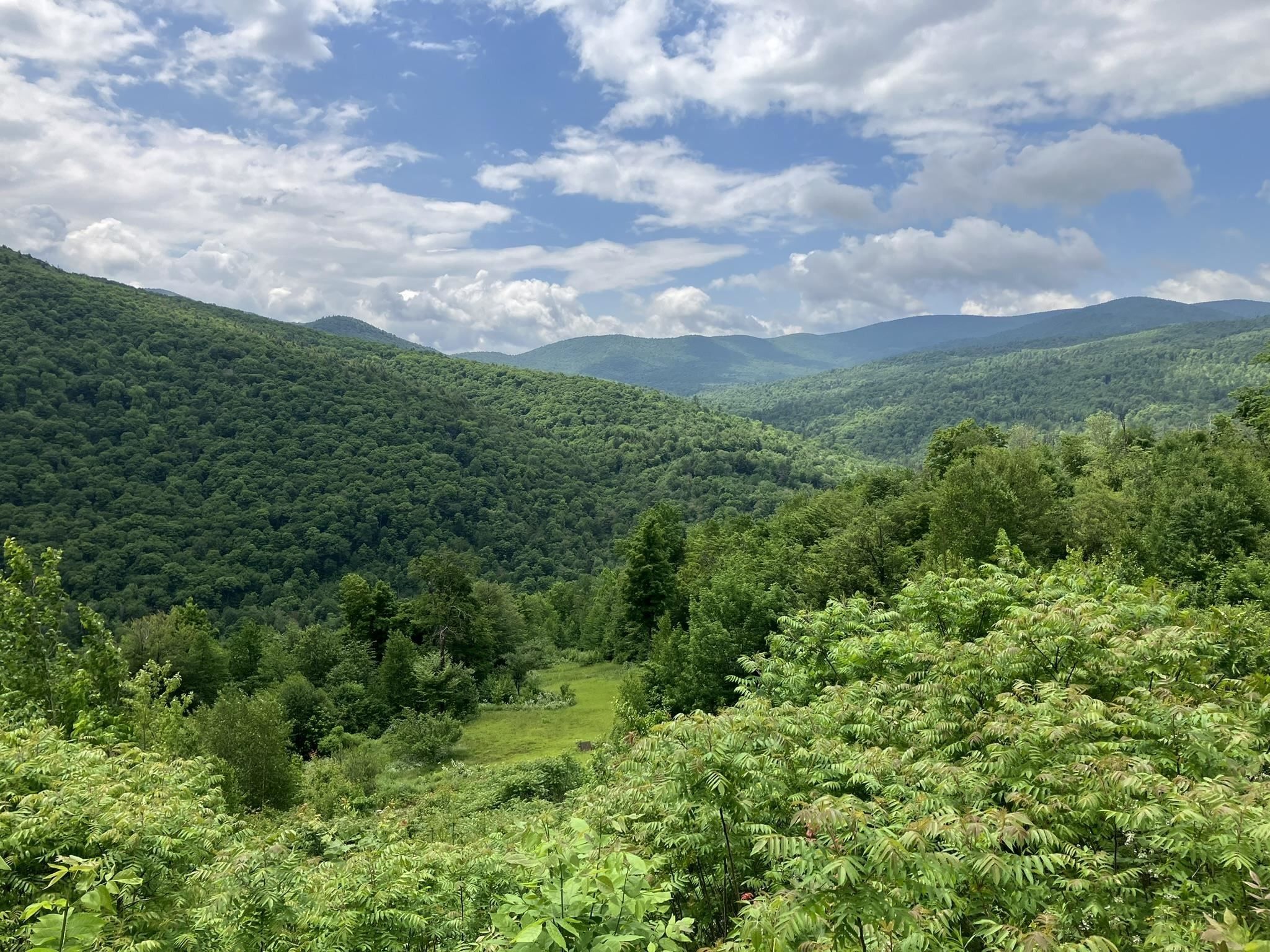 Rochester, Windsor County, VT Undeveloped Land for sale Property ID